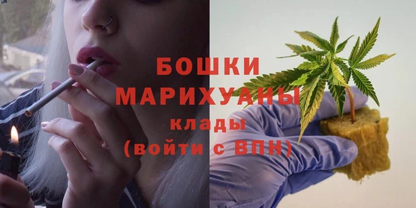 шишки Заволжье