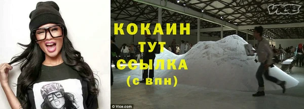 дживик Заводоуковск