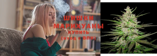 дживик Заводоуковск