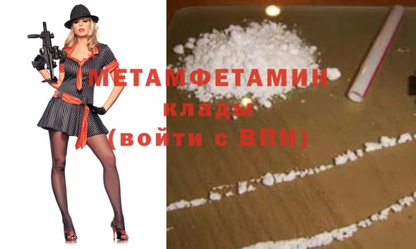 шишки Заволжье