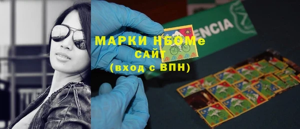 шишки Заволжье