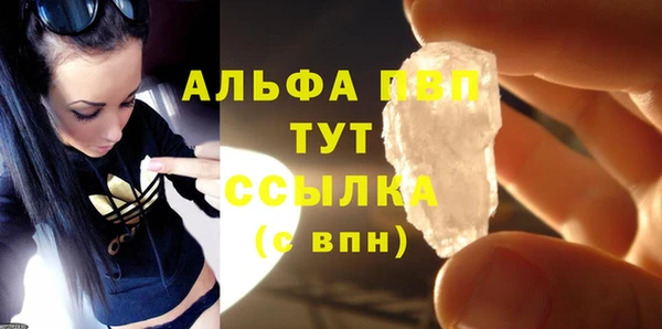 шишки Заволжье