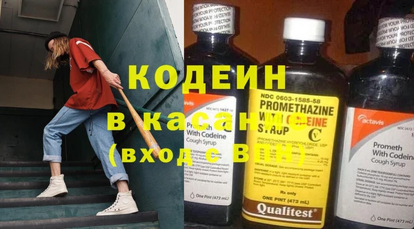 шишки Заволжье