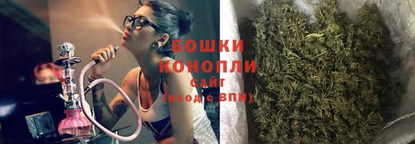 шишки Заволжье