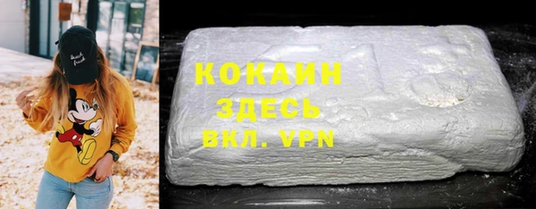 шишки Заволжье