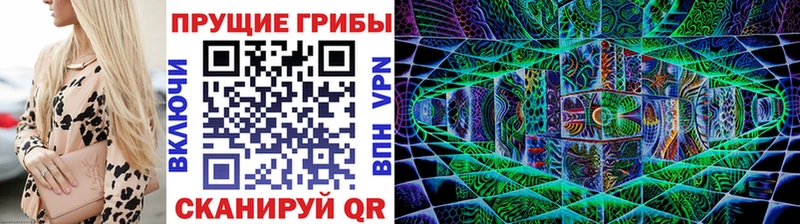 Псилоцибиновые грибы мухоморы  где найти   мега ссылки  Каргополь 